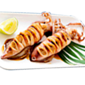 Grilled Spicy Squid